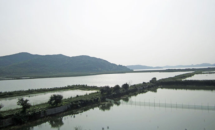 農(nóng)村征收魚塘的補(bǔ)償標(biāo)準(zhǔn)